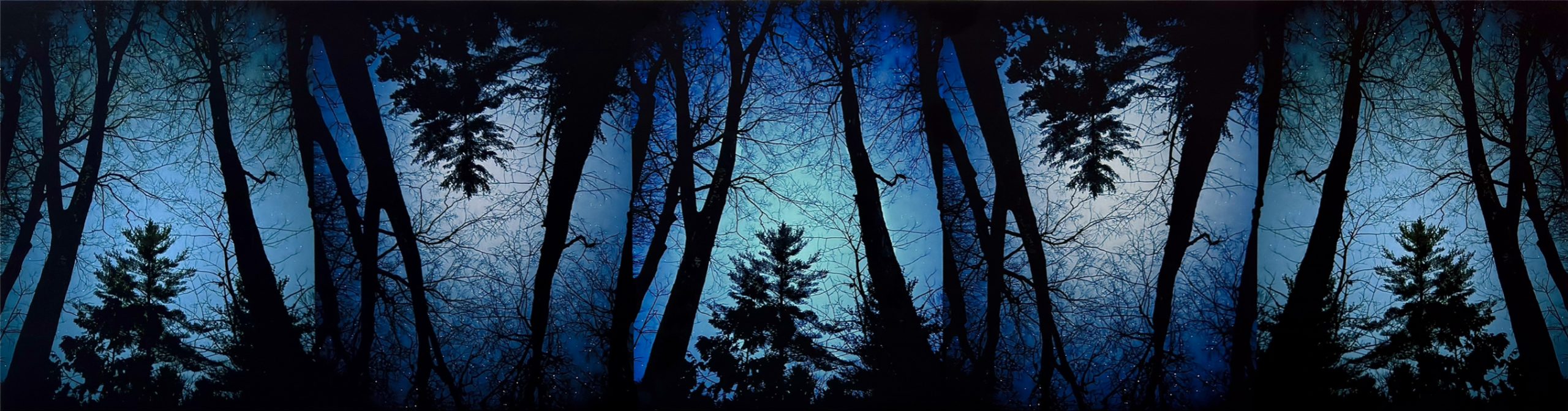 A landscape view of black tree silhouettes against a glowing blue night sky, image has been repeated and flipped to create a image that mirrors itself accross vertical axis.